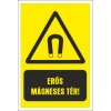 Erősen mágneses tér